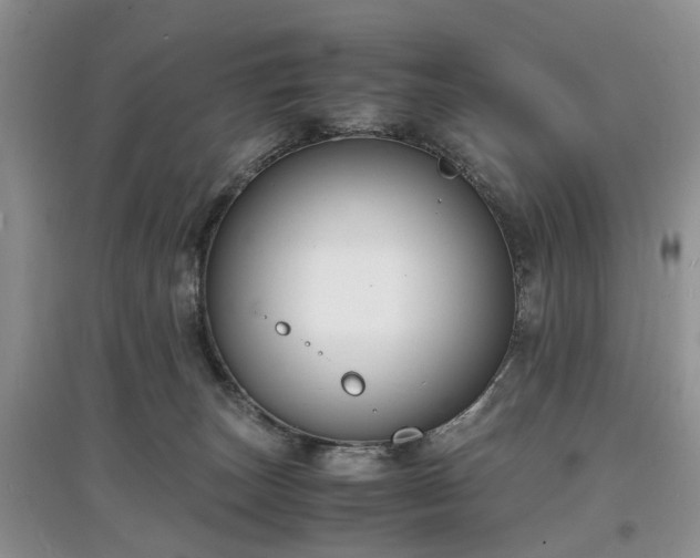 X0000097620179200803071518