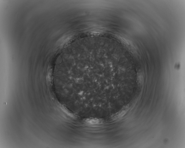 X0000097620181200803071518