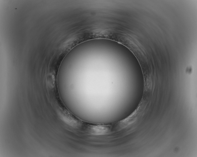 X0000097620183200803071518