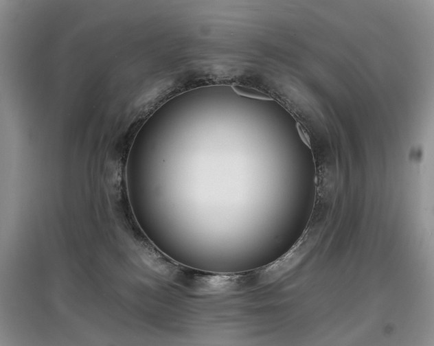 X0000097620184200803071518