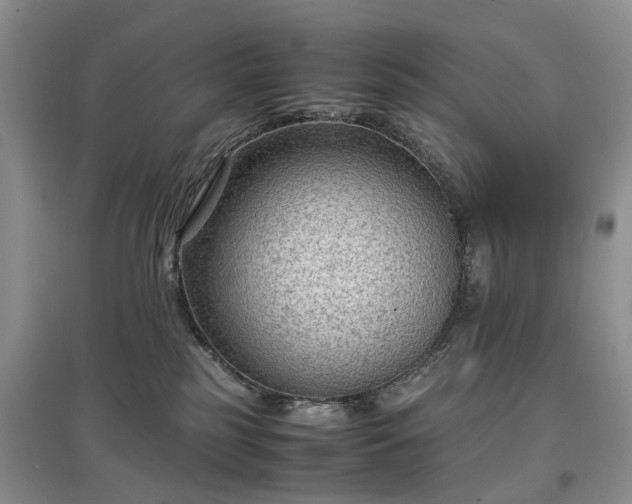 X0000097620185200803071518