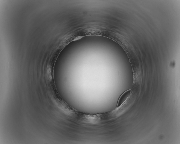X0000097620187200803071518
