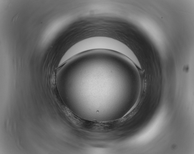 X0000097620190200803071518