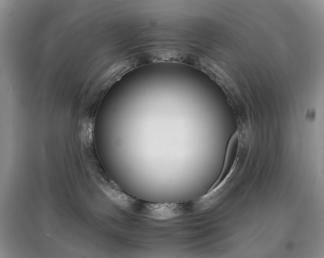 X0000097620191200803071518
