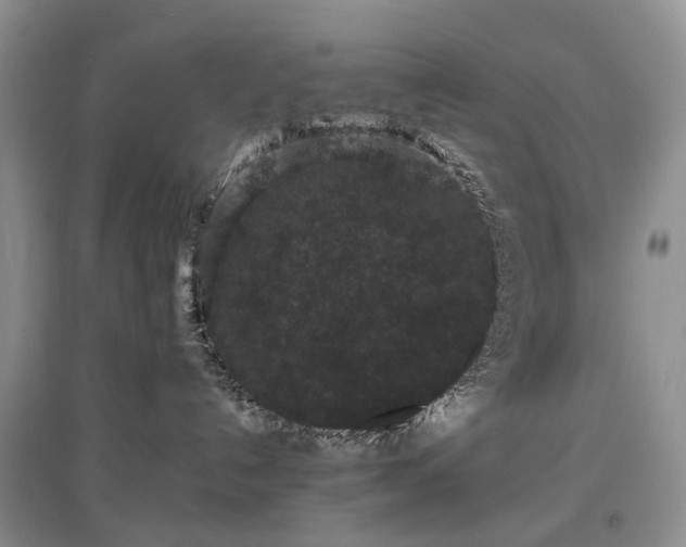 X0000097620192200803071518