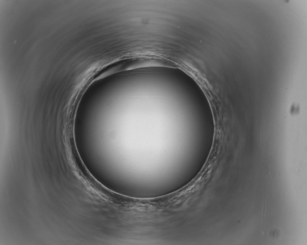 X0000097620193200803071517