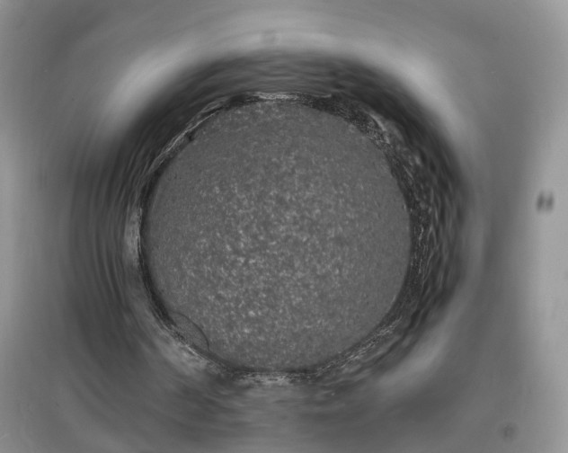 X0000097620194200803071517