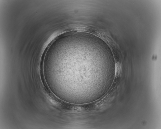 X0000097620195200803071517