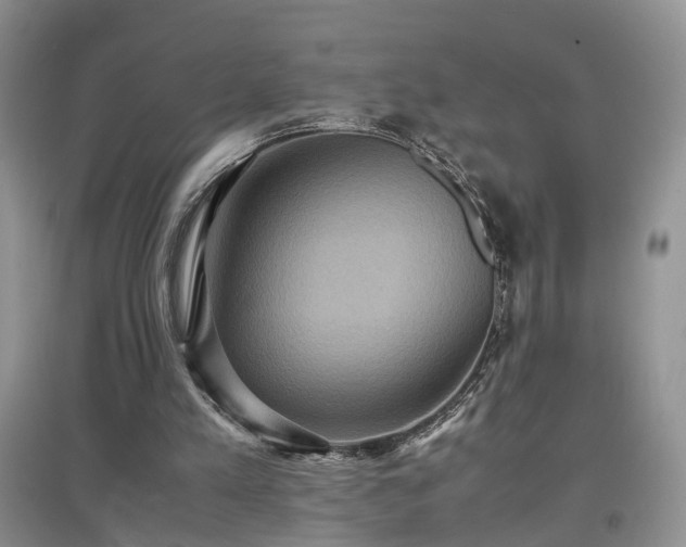 X0000097620197200803071517