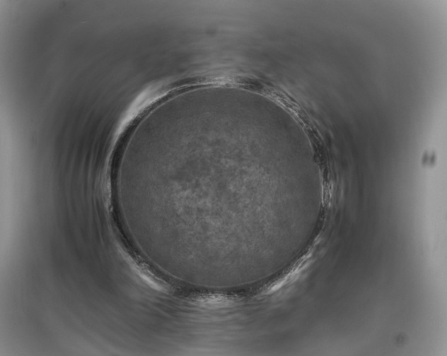 X0000097620198200803071517