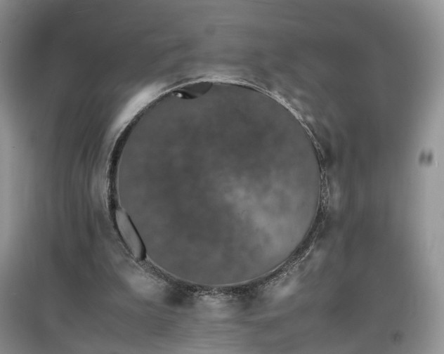 X0000097620199200803071517