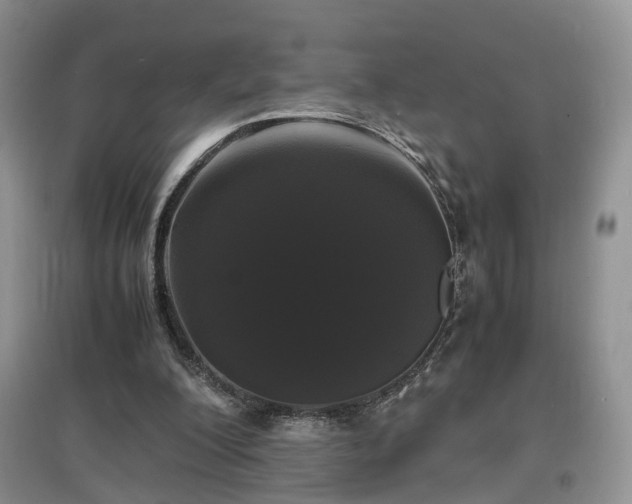 X0000097620200200803071517