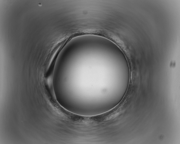 X0000097620201200803071517