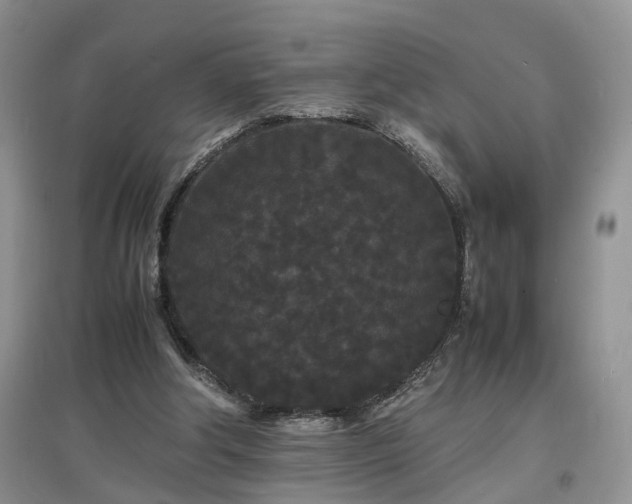 X0000097620202200803071517