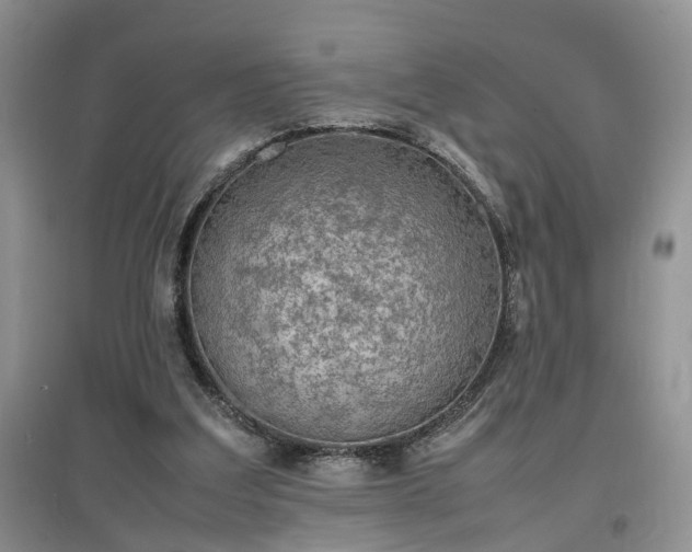 X0000097620203200803071517