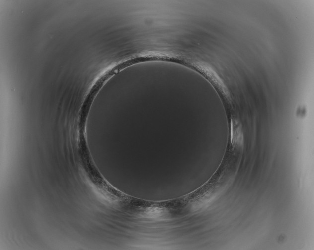 X0000097620204200803071517