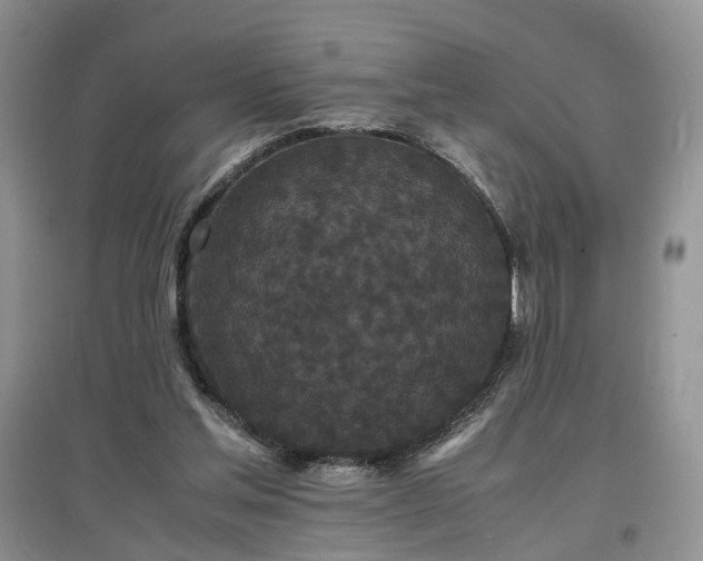 X0000097620205200803071517