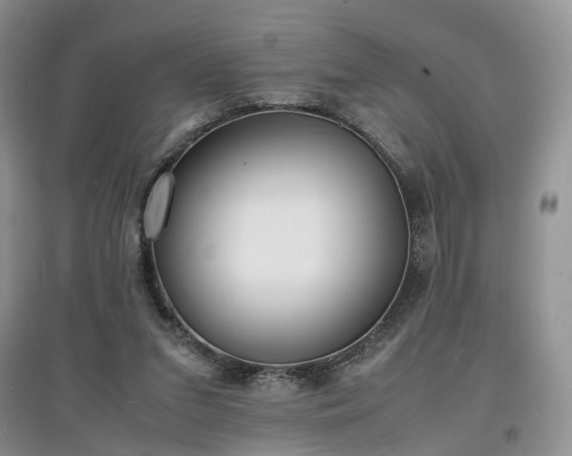 X0000097620207200803071517