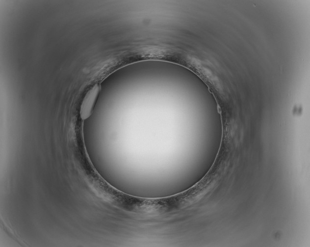X0000097620209200803071517
