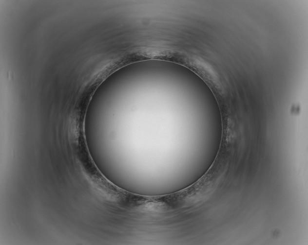 X0000097620210200803071517