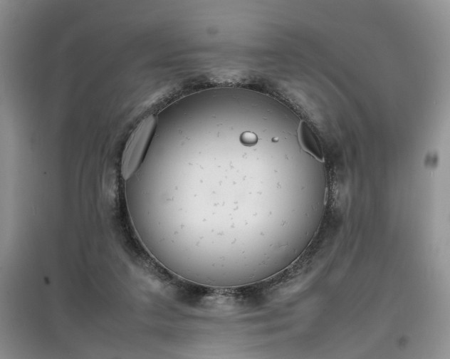 X0000097620211200803071517