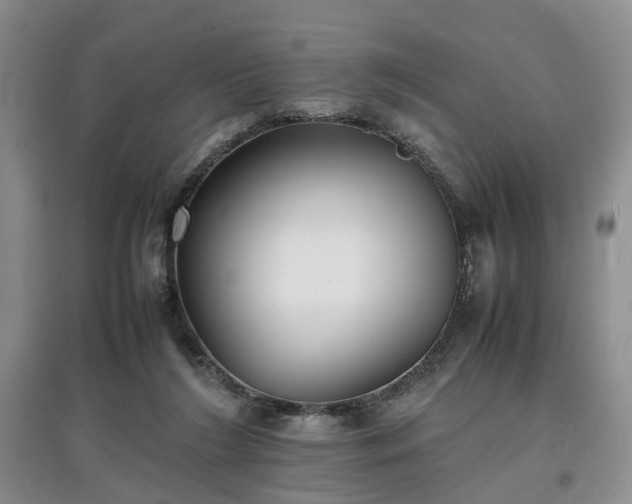 X0000097620212200803071517