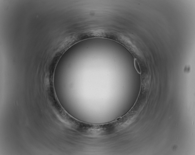 X0000097620213200803071517