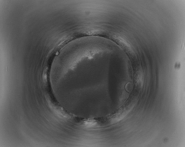 X0000097620214200803071517