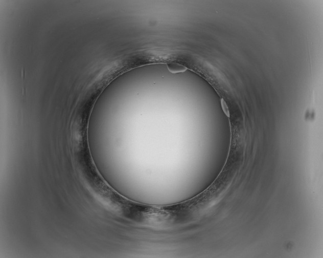 X0000097620215200803071517