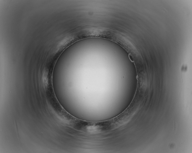 X0000097620216200803071517
