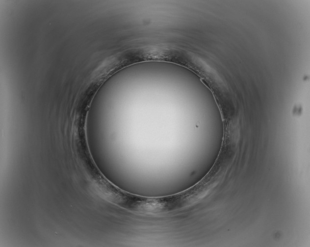 X0000097620217200803071517
