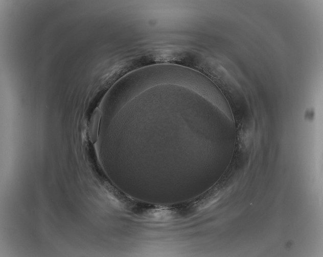 X0000097620219200803071517