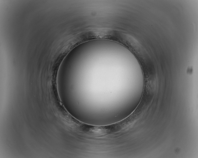 X0000097620221200803071517