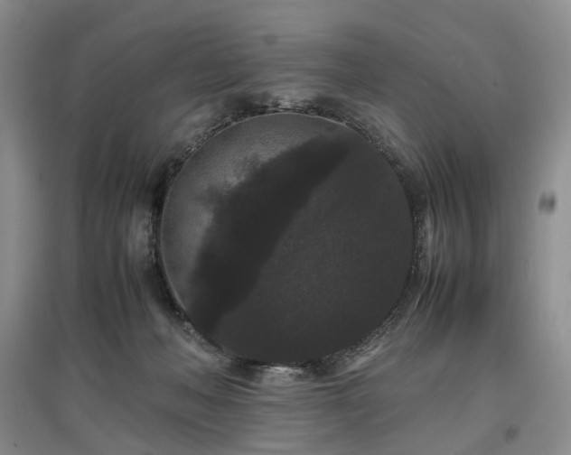 X0000097620222200803071517
