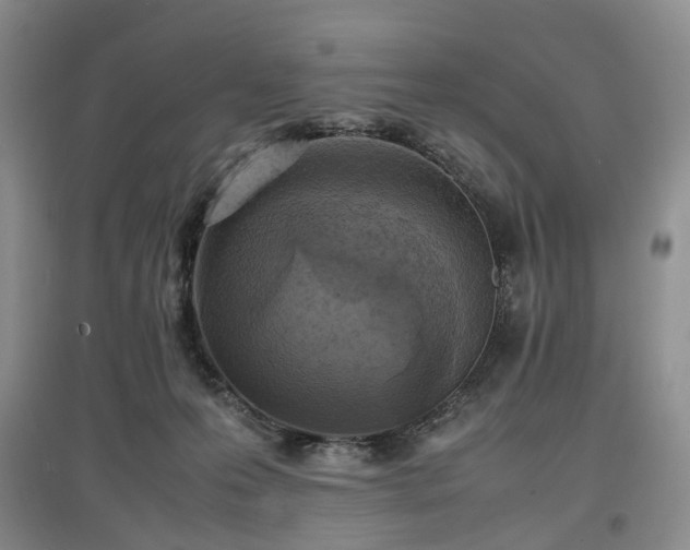 X0000097620223200803071517