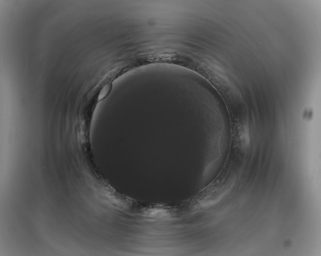 X0000097620224200803071517