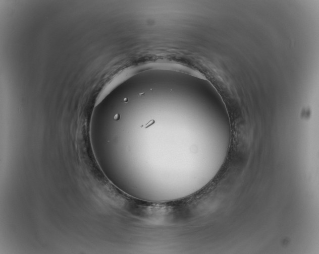 X0000097620225200803071517