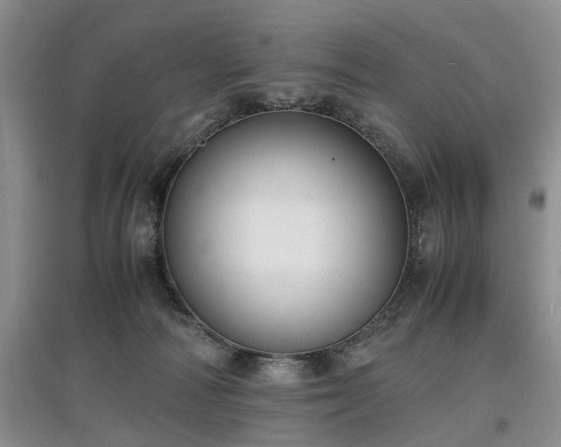 X0000097620226200803071517
