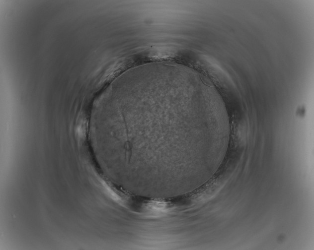 X0000097620227200803071517