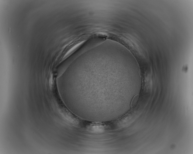X0000097620228200803071517