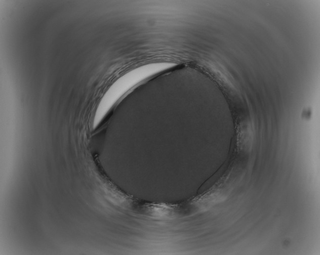 X0000097620229200803071517