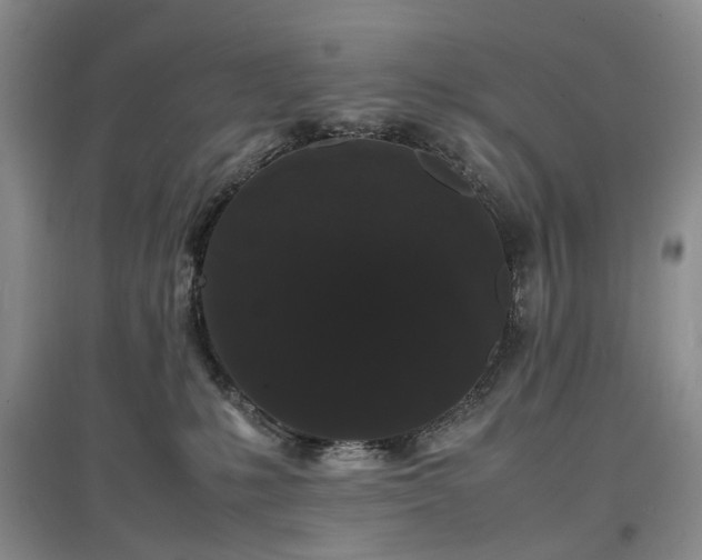 X0000097620231200803071517