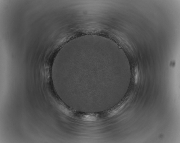 X0000097620232200803071517