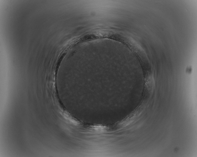 X0000097620233200803071517