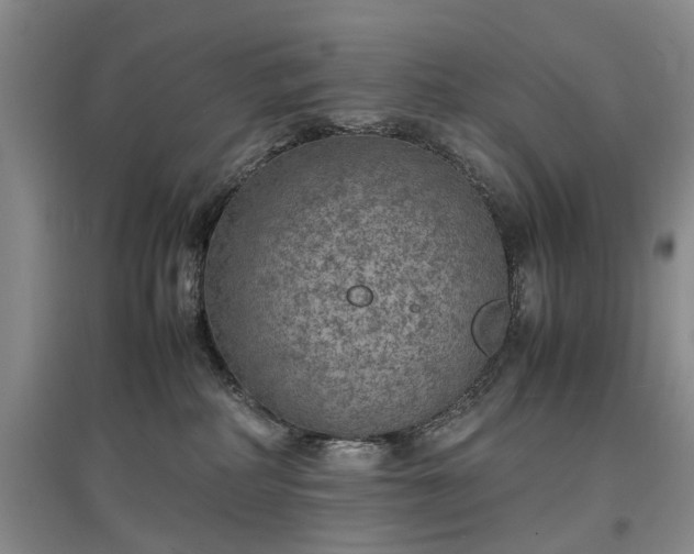 X0000097620234200803071517