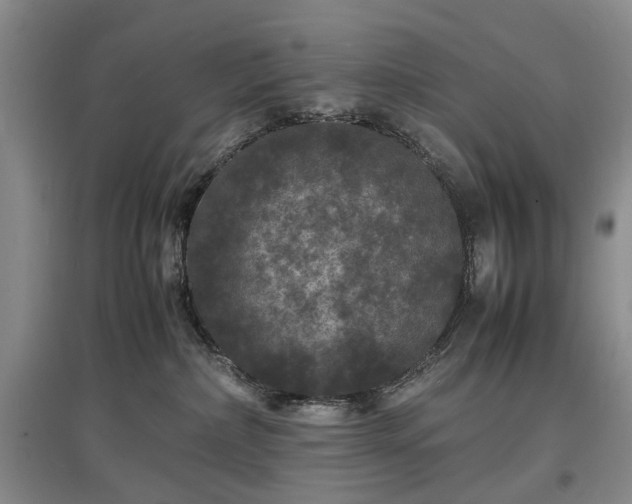 X0000097620236200803071517