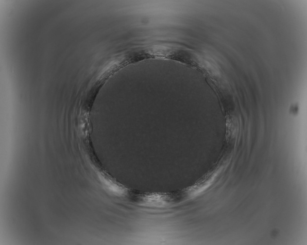 X0000097620237200803071517