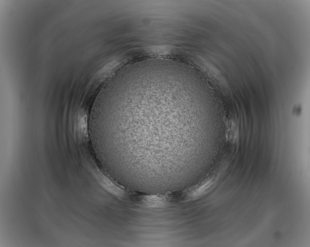 X0000097620238200803071517