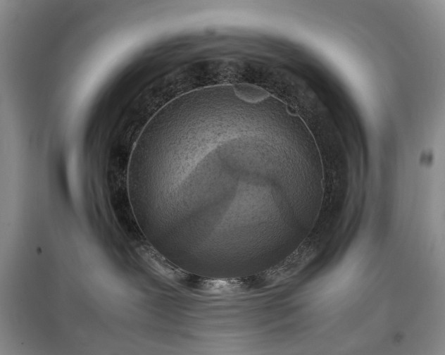 X0000097620239200803071517