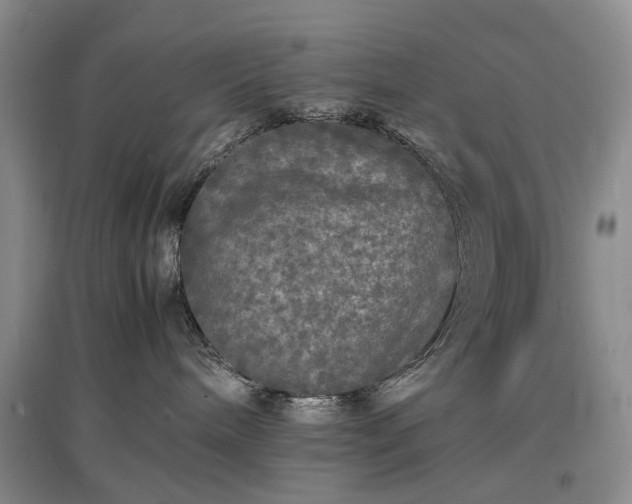 X0000097620240200803071517